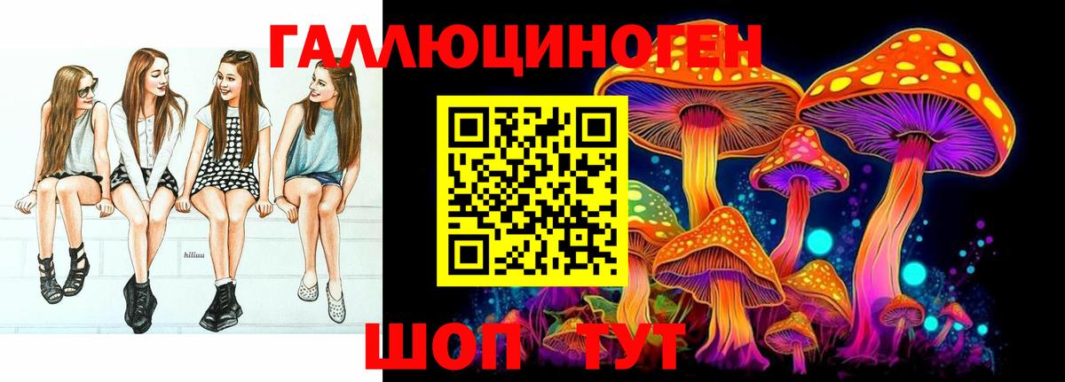 Галлюциногенные грибы GOLDEN TEACHER Котовск